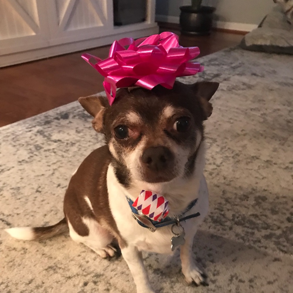 Meet your Posher, Shannon